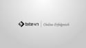 create a clean and modern logo animation in after effects