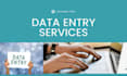 provide fast and reliable data entry service