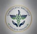 design a professional chiropractic logo