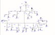 provide matlab simulink etap circuit simulations