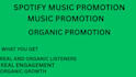 do spotify music campaign