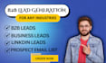 do targeted linkedin, b2b lead generation, and email leads