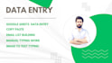 do professional data entry, data cleaning and formatting