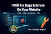 fix bugs and issues on your website