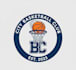 design a professional basketball logo