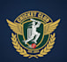 design a professional cricket logo