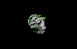design terminator type skull top fuel dragster logo