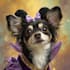 pet portrait into cute disney style