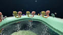 create professional 3d medical animation video and moa explainer