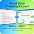 optimize and clean your excel data professionally