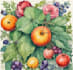 paint a botanical watercolor illustration
