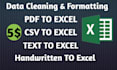 convert PDF, CSV, txt data into the excel