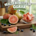 explain helath benefits of guava