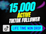 get you 20,000 tiktok followers high quality service