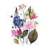 design best botanical illustration
