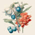paint water colour botanical illustrations