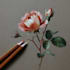 draw a botanical illustration