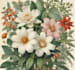 make a beautiful botanical or floral illustration
