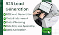 do accurate data enrichment, lead generation and data collection, data appending