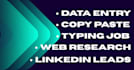 do excel data entry, web research and copy paste work