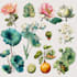 design best botanical illustration