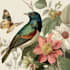 illustrate unique botanical illustrations