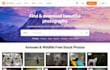 design a modern ,responsive and user friendly website