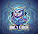 create owl mascot logo with t shirt design