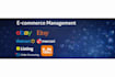 manage and optimize your ecommerce store professionally