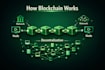 teach blockchain fundamentals professionally