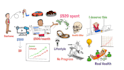 create a finance explainer whiteboard animation video
