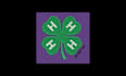 do professional logo embroidery digitizing in dst pes and all formats