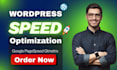 optimize wordpress speed or improve your google pagespeed insights