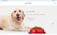 build pet shopify store or pet products website that turns visitors into buyers
