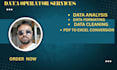 do excel data analysis, data formatting, data cleaning