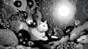 draw black and white illustrations