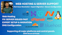 setup web hosting, fix server issues, configure domains and install SSL