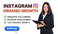 fast organic instagram growth and engagement