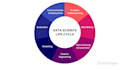 be your data scientist and advisor