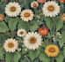 create amazing botanical illustration art