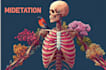 draw medical illustration in sketch