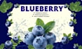 design juice bar and fruit shop social ads
