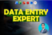 be your expert virtual assistant for data entry, mining, and web research