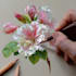 illustrate best botanical illustration