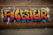 create custom graffiti art designs murals and wall arts