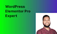 wordpress elementor pro expert for website design