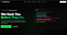 do cybersecurity testing for your websites apps apis