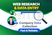 do professional web research, data entry and excel work