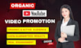 do ideal  youtube promotion for channel growth