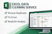 clean and organize excel or CSV data in 24h delivery